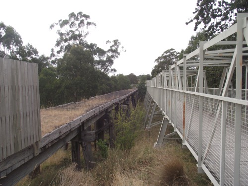 Old trestle bridge over Tarwin River