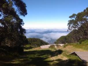 View from Mt Baw Baw village