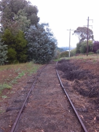 Disused railway, Batlow, towards Kunama