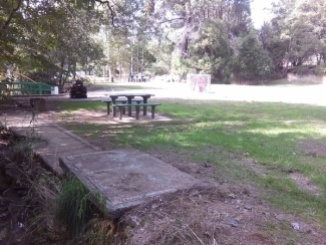 Reedy Creek Park, site of Olympic-sized swimming pool