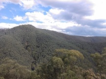 View from Powerline Track