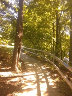 Part of Riverside trail