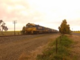 Pacific NAtional steel train between Harefield and Junee.