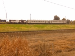 Locomotive ands passengfer cars at Junee roundhouse.