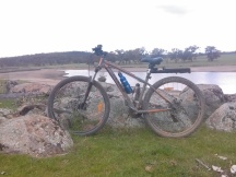 The trusty stead at Lake Bethungra.