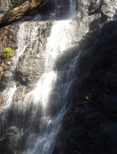 Campbells Lookout Walk - Bluff Falls