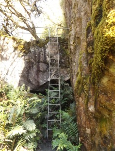 Campbells Lookout Walk - ladder on the steepest section