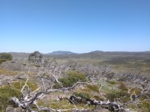 Mt Cope Walk - view from summit