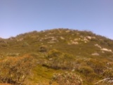 Wallaces Hut Walk - view of mountain